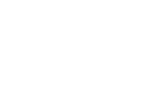 Delta Consulting srl Delta Consulting srl